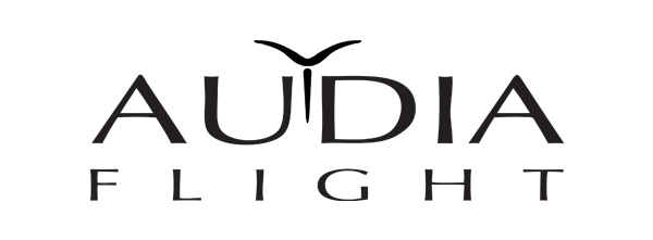 Audio Flight