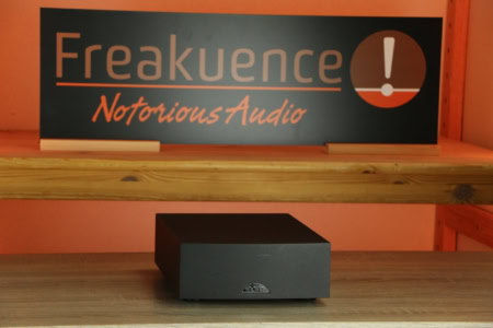 Naim NAP 100